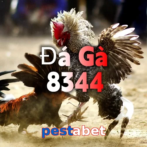 pestabet